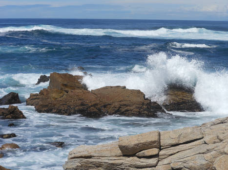 Rocky Waves