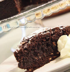 Chocolatey Chocolate Brownie