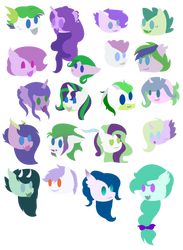 20 Sparity's