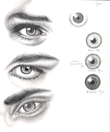 Eye Study