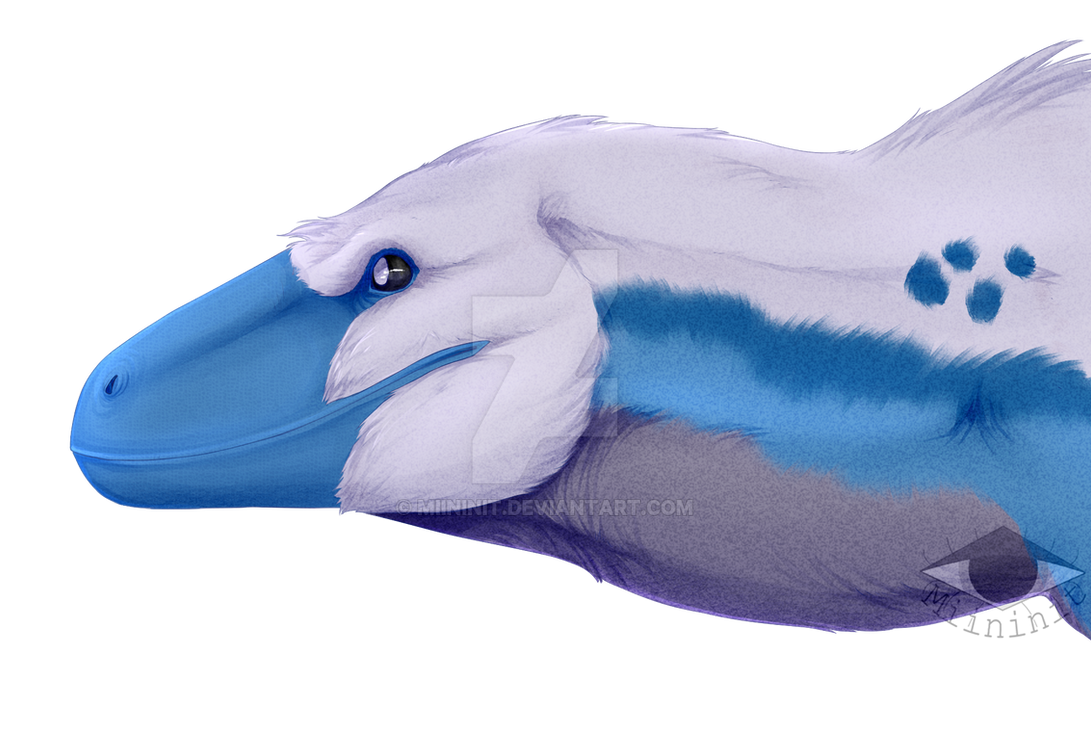 dako by Miininit on DeviantArt