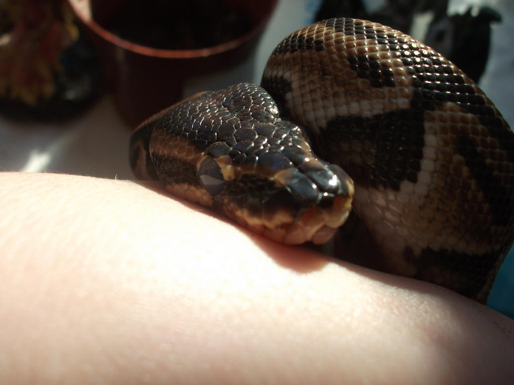 Azazel Curled Up by IHideBehindAMask on DeviantArt