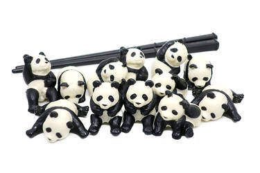 Cute Panda Bears and Sticks