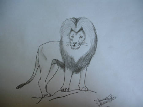 Lion ~ B+W