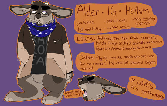 Alder(FURSONA REFERENCE 2017-2018)