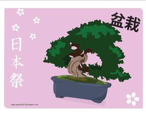 Japanese festival wp - bonsai