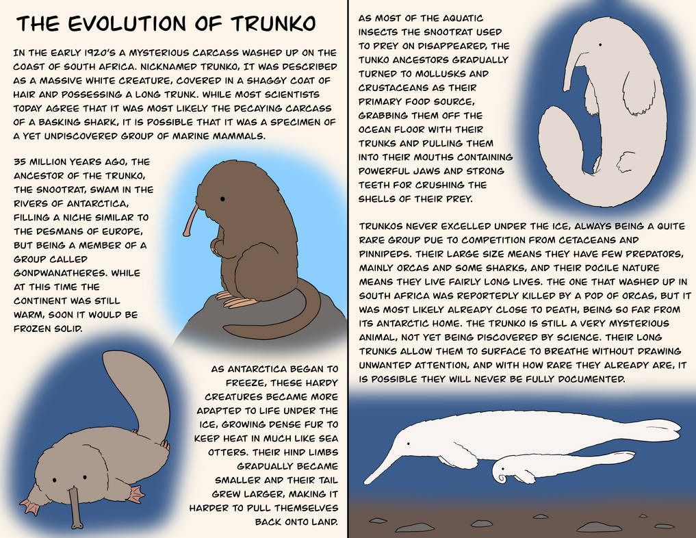 Evolution of the Trunko by Dinkleton on DeviantArt