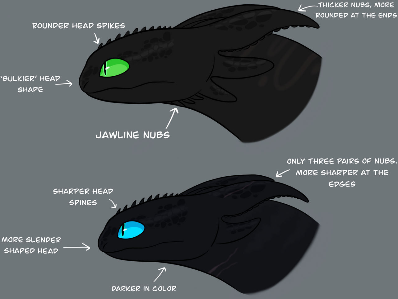 Toothless vs Soundless head study by Eerie-Murmur on DeviantArt