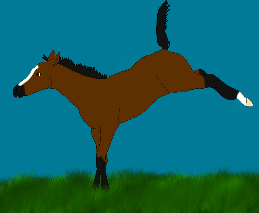 Shadow (Foal Ref)