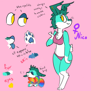 Nico the rabbit Reference Sheet