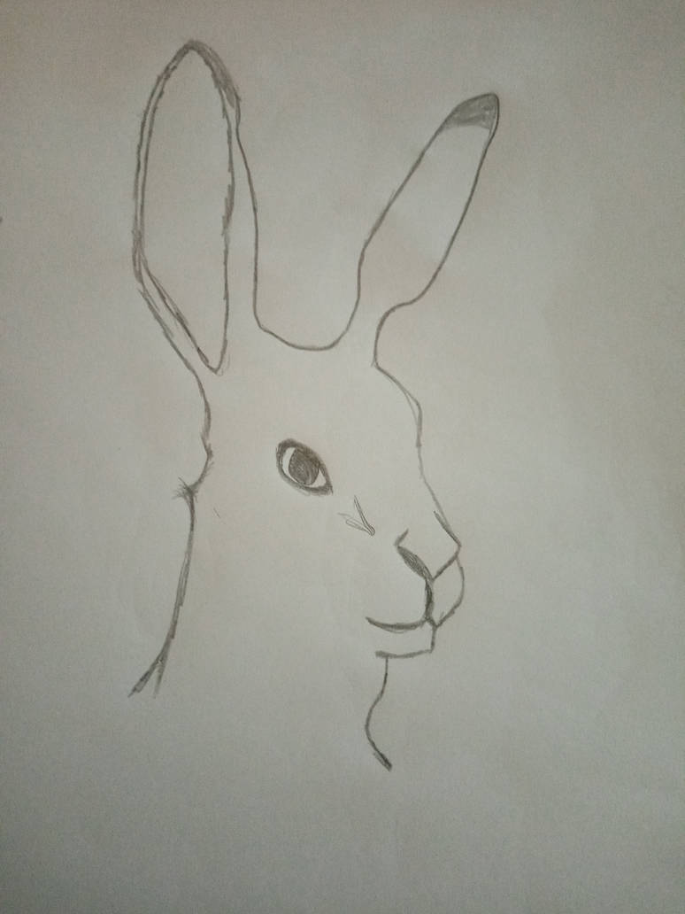 Anthro rabbit head by Southrelic on DeviantArt
