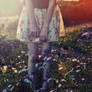 Help me find my way