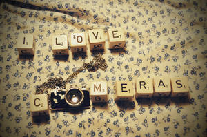 i love camera by Holunder