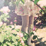 come back home