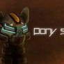 Pony Space