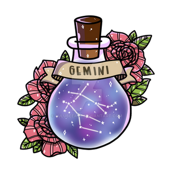 Gemini Constellation in a Bottle