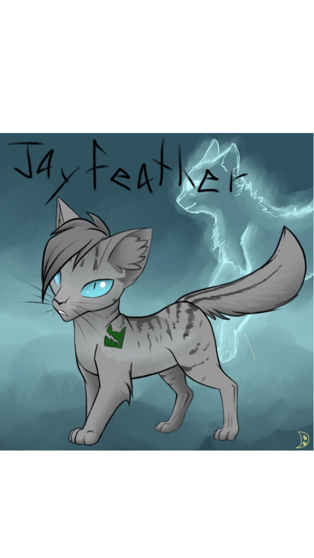 Jayfeather (made with Avatar Maker:Cats 2) by MoonAndTwoStars on DeviantArt