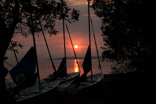 Sunrise - Camp Cooinda