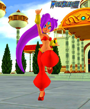 Shantae The Half Genie Hero.