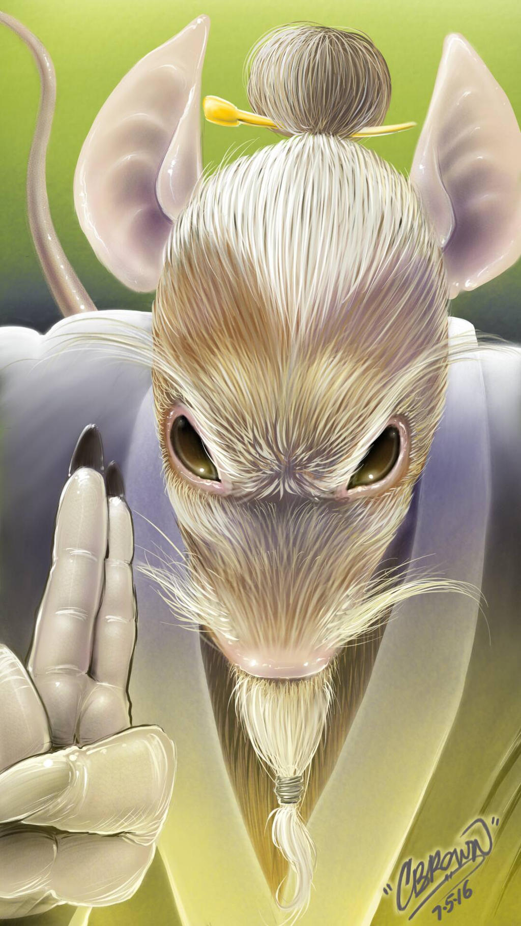 Master Splinter TMNT by phix701 on DeviantArt