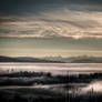 A Pillow Of Mist