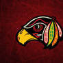 3476~ Chicago Blackhawks