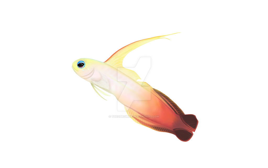 Firefish by theobromine on DeviantArt