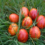 Onion Dyed Easter Eggs