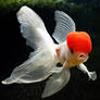 My Goldfish 2