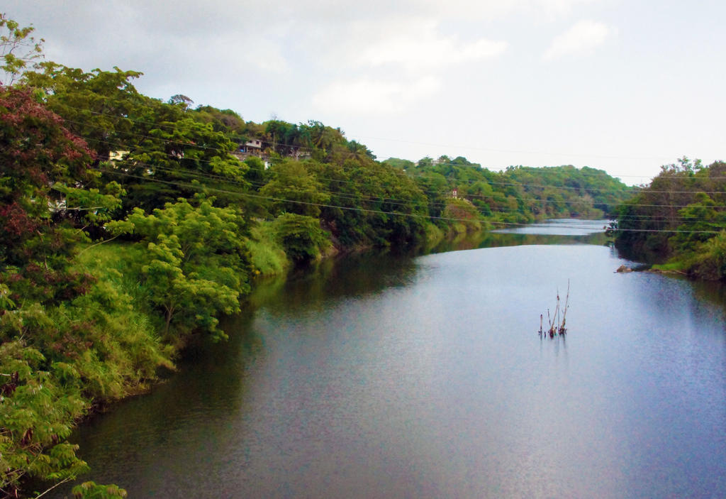 Puerto Rico river 4 by Shadeartstudios on DeviantArt