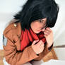 Mikasa in a lot of trouble... 2