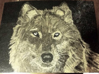 Silver Scratchboard Wolf