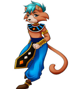 Little Cato is Lord Beerus