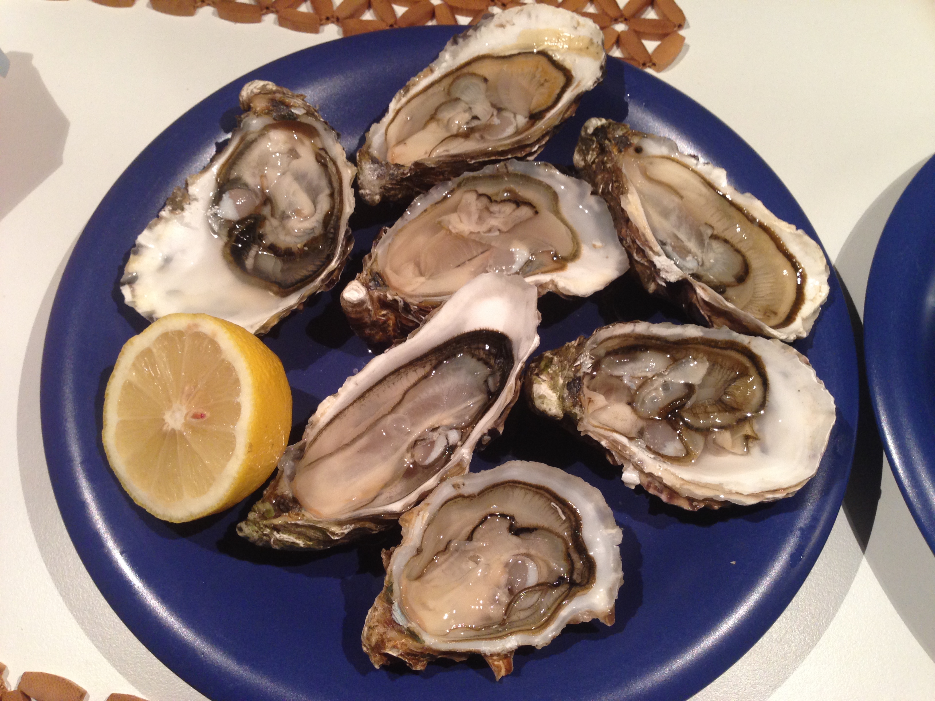 Oysters