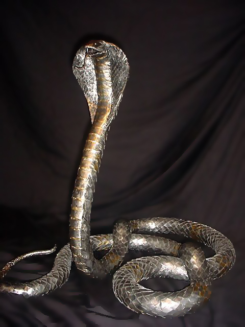 King Cobra 3