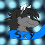 Sky Headshot