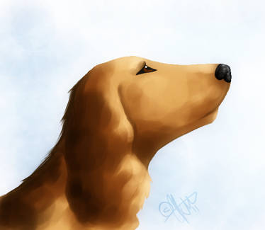 Dog Speed paint