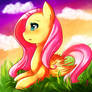 + Flutterwonder +