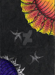 ACEO.2