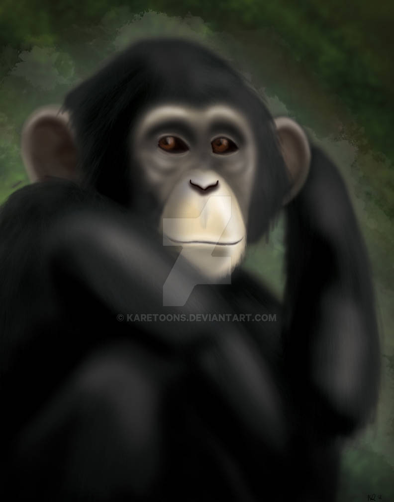 Monkeys Cartoon Deviantart Monkey by Karetoons on DeviantArt
