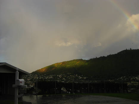 Manoa Valley Morning