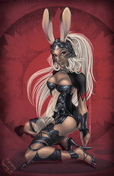 FFXII  Fran