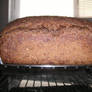 Pumpernickel bread: length 1