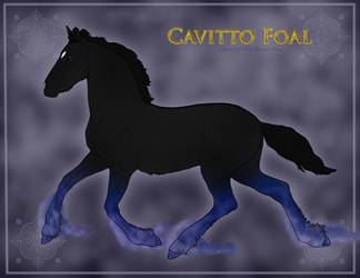 1293 Foal Design