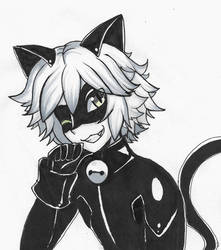 Inktober Day 5: Chat  Noir