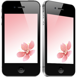 Blossom for iPhone