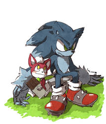 chip and werehog