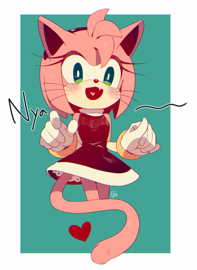 Amy the cat