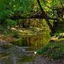 Bridge Into Autumn