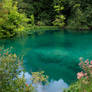 Plitvice - Turquoise Lake